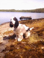 /album/patu/whoo13-318-jpg/